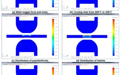 RSW Modelling Process and Performance
