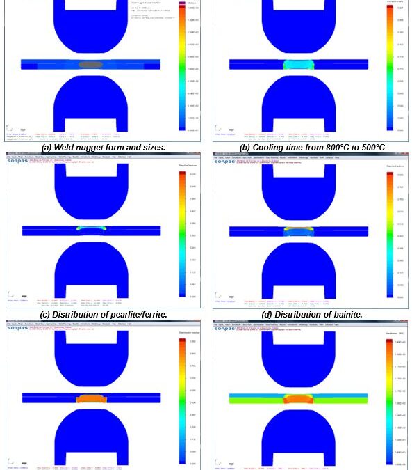 RSW Modelling Process and Performance