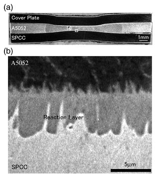 macrostructure of spot weld joint (a) and SEM images of Al/steel interface