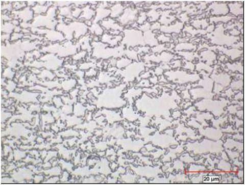 Figure 2: Micrograph of Transformation Induced Plasticity steel.