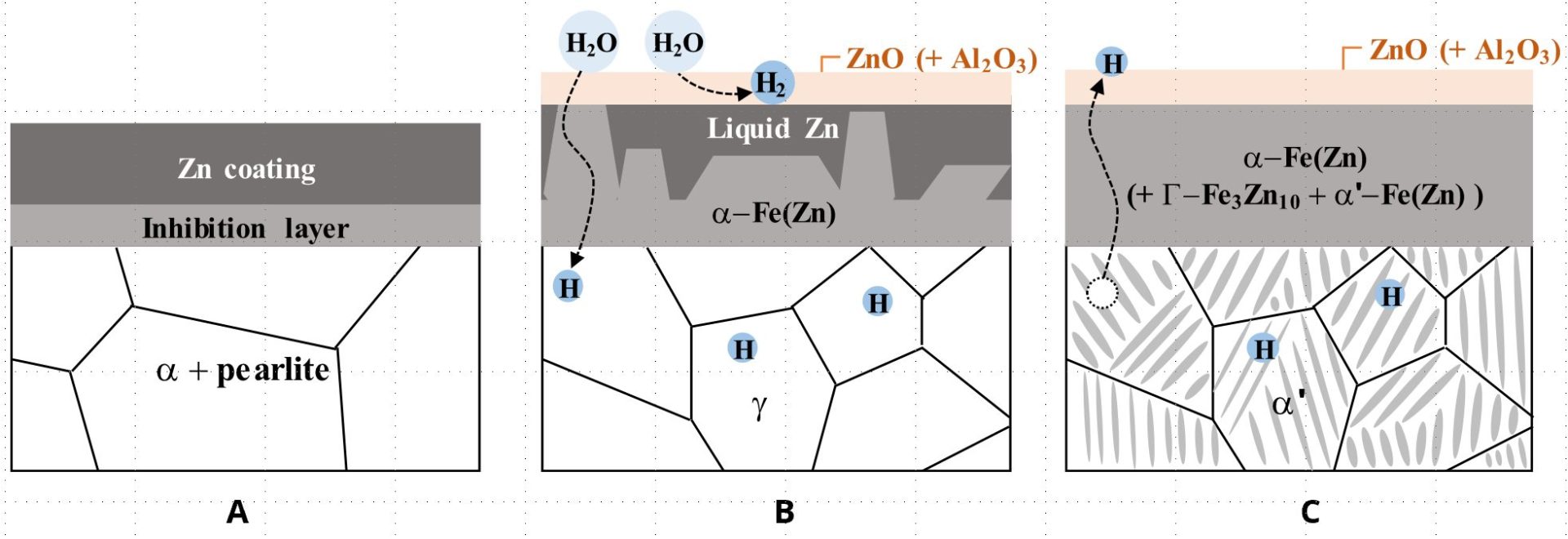 Figure 10: Evolution of galvanized coating: (a) as delivered: Ferrite+Pearlite in base metal, almost pure Zn coating with Al-rich inhibition layer, (b) at high temperatures: austenite in base metal + α-Fe(Zn) and liquid Zn + surface oxides, (c) after press hardening: martensite in base metal + α-Fe(Zn) and Γ-phase coatings + surface oxides. The oxides are removed prior to welding and painting [REFERENCE 30]