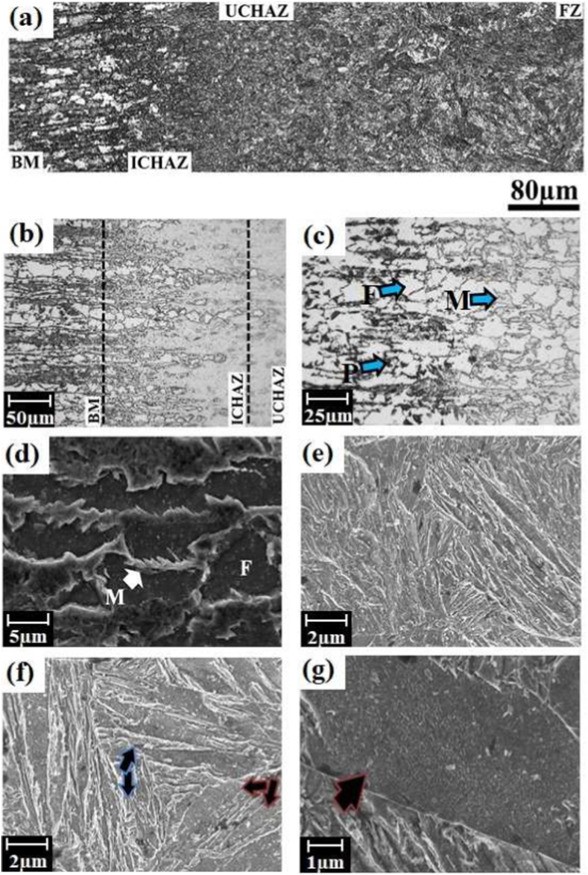 Figure 2: Welded microstructure: (a) overall view, (b) HAZ, (c) ICHAZ at low and (d) high magnifications, (e) UCHAZ (f) FZ, and (g) coarse-lath martensitic structure (where M; martensite, P: pearlite, F: ferrite)