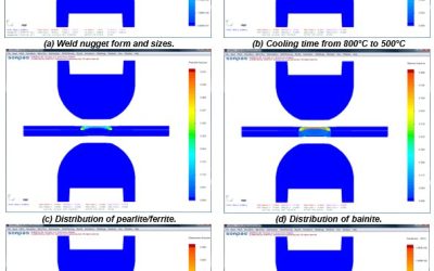 RSW Modelling Process and Performance